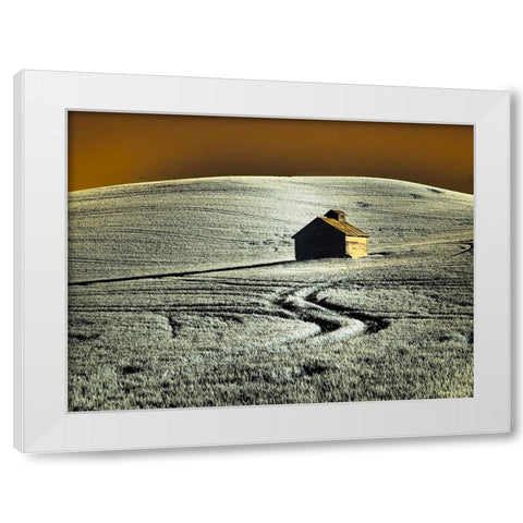 USA-Washington State-Palouse region-Old barn in field of wheat White Modern Wood Framed Art Print by Eggers, Terry