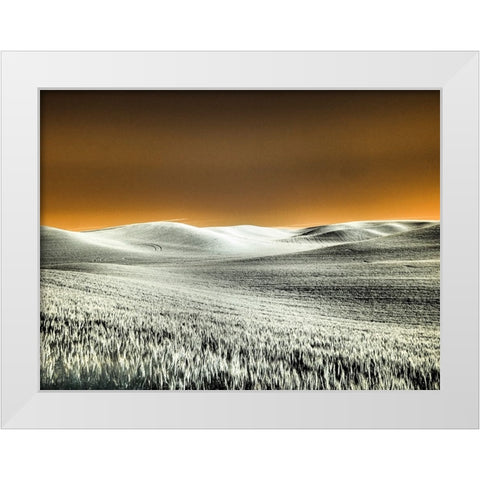 USA-Washington State-Palouse region-Rolling Hills of wheat White Modern Wood Framed Art Print by Eggers, Terry