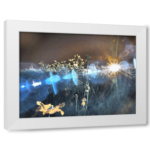 USA-Washington State-Palouse region wildflowers White Modern Wood Framed Art Print by Eggers, Terry