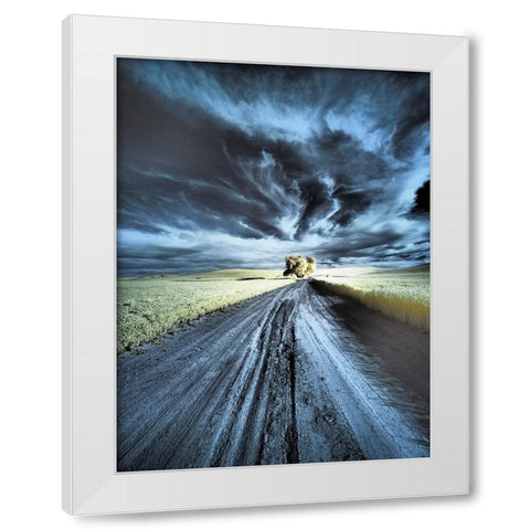 USA-Washington State-Palouse region-Backcountry road leading to Lone Tree White Modern Wood Framed Art Print by Eggers, Terry
