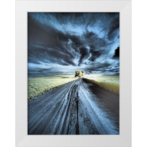 USA-Washington State-Palouse region-Backcountry road leading to Lone Tree White Modern Wood Framed Art Print by Eggers, Terry