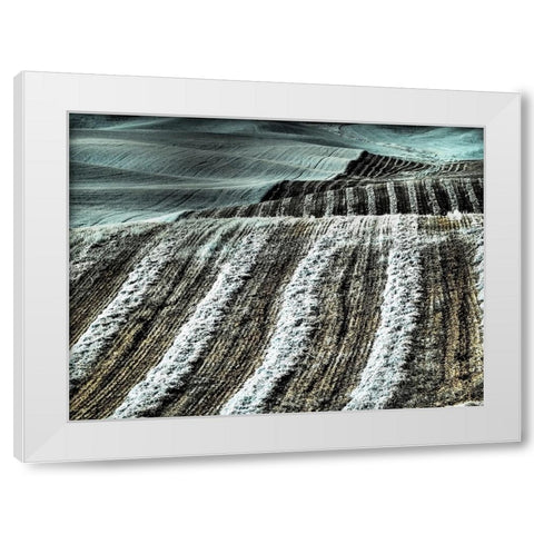 USA-Washington State-Palouse region-Harvest cut lines in Field White Modern Wood Framed Art Print by Eggers, Terry