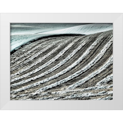 USA-Washington State-Palouse region-Harvest cut lines in Field White Modern Wood Framed Art Print by Eggers, Terry