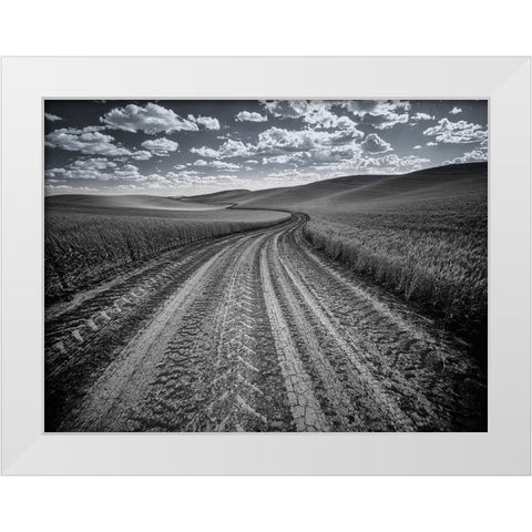 USA-Washington State-Palouse-Country backroad through spring crops White Modern Wood Framed Art Print by Eggers, Terry