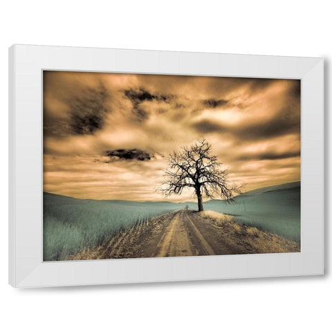 USA-Washington State-Palouse Infrared of lone tree along side country road White Modern Wood Framed Art Print by Eggers, Terry