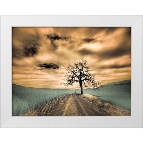 USA-Washington State-Palouse Infrared of lone tree along side country road White Modern Wood Framed Art Print by Eggers, Terry