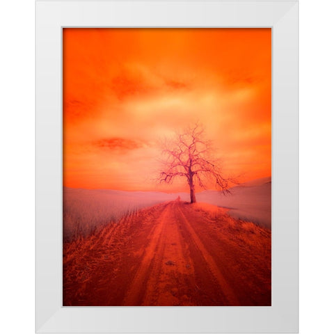 USA-Washington State-Palouse Infrared of lone tree along side country road White Modern Wood Framed Art Print by Eggers, Terry