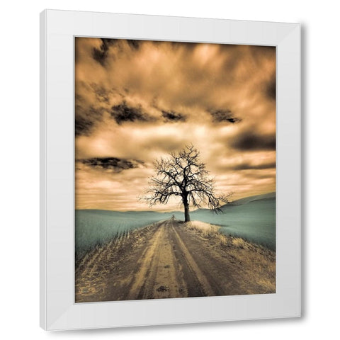 USA-Washington State-Palouse Infrared of lone tree along side country road White Modern Wood Framed Art Print by Eggers, Terry