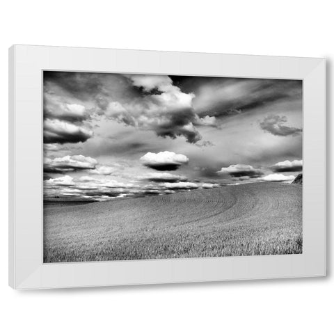 USA-Washington State-Palouse Infrared of rolling hills of crops and clouds White Modern Wood Framed Art Print by Eggers, Terry