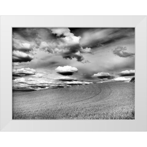 USA-Washington State-Palouse Infrared of rolling hills of crops and clouds White Modern Wood Framed Art Print by Eggers, Terry