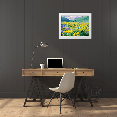 USA-Washington State Arrowleaf balsamroot and lupine White Modern Wood Framed Art Print by Eggers, Terry