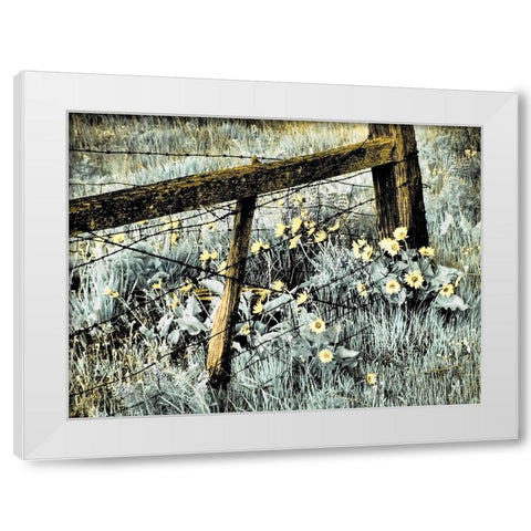 USA-Washington State Infrared capture of fence line and wildflowers White Modern Wood Framed Art Print by Eggers, Terry