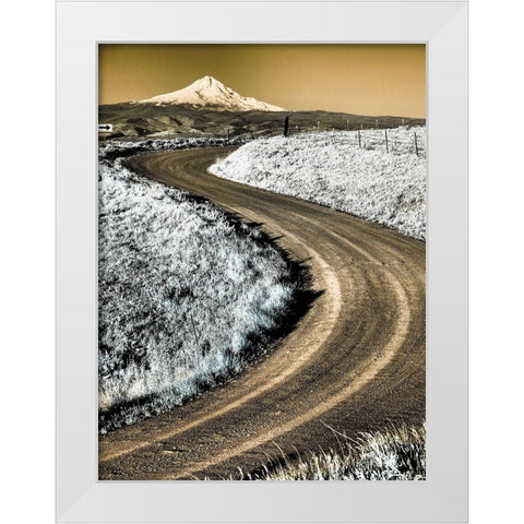 USA-Washington State Infrared capture of road running though wildflowers with Mount Hood background White Modern Wood Framed Art Print by Eggers, Terry