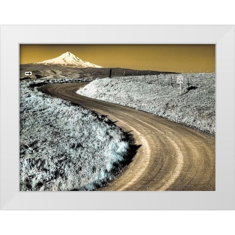 USA-Washington State Infrared capture of road running though wildflowers with Mount Hood background White Modern Wood Framed Art Print by Eggers, Terry