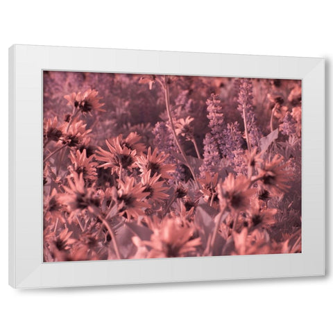 USA-Washington State Infrared capture wildflowers in bloom White Modern Wood Framed Art Print by Eggers, Terry