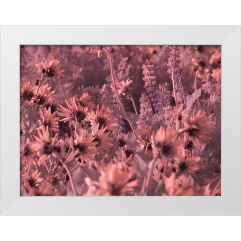 USA-Washington State Infrared capture wildflowers in bloom White Modern Wood Framed Art Print by Eggers, Terry