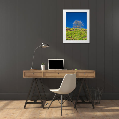 USA-Washington State Lone Tree on hillside with spring wildflowers White Modern Wood Framed Art Print by Eggers, Terry
