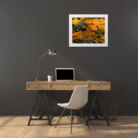 West Virginia, Davis Autumn reflections on pond White Modern Wood Framed Art Print by OBrien, Jay