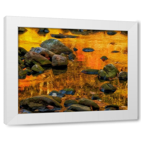 West Virginia, Davis Autumn reflections on pond White Modern Wood Framed Art Print by OBrien, Jay