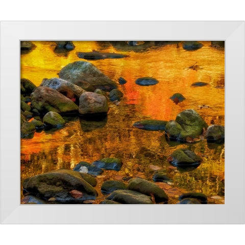 West Virginia, Davis Autumn reflections on pond White Modern Wood Framed Art Print by OBrien, Jay