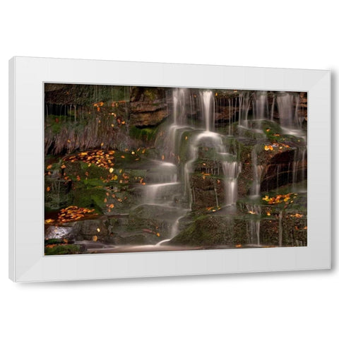 WV, Blackwater Falls Waterfall on rock face White Modern Wood Framed Art Print by OBrien, Jay