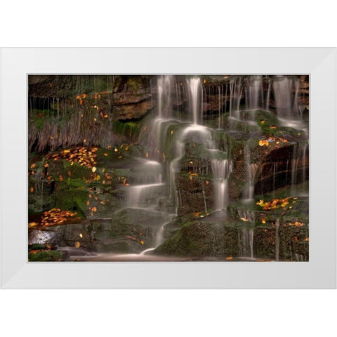 WV, Blackwater Falls Waterfall on rock face White Modern Wood Framed Art Print by OBrien, Jay