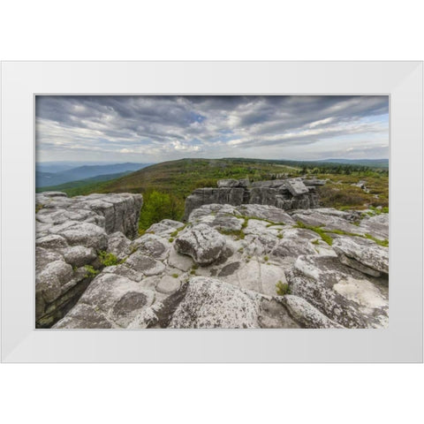 WV, Landscape in Dolly Sods Wilderness Area White Modern Wood Framed Art Print by OBrien, Jay