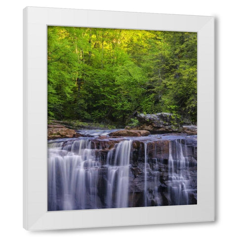 West Virginia, Davis, Blackwater Falls The falls White Modern Wood Framed Art Print by OBrien, Jay