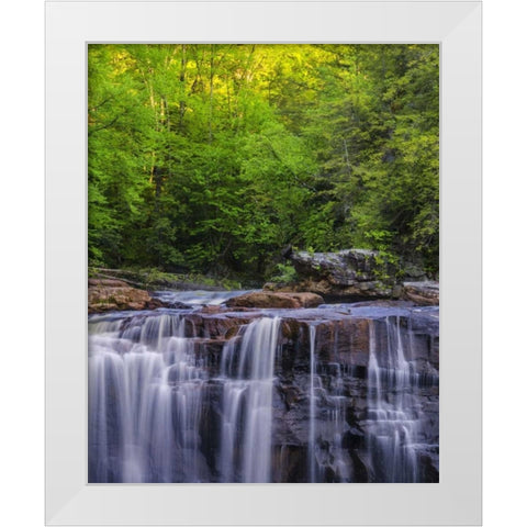 West Virginia, Davis, Blackwater Falls The falls White Modern Wood Framed Art Print by OBrien, Jay