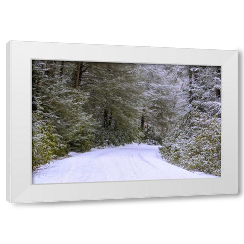 WV, Blackwater Falls Snowy road through forest White Modern Wood Framed Art Print by OBrien, Jay