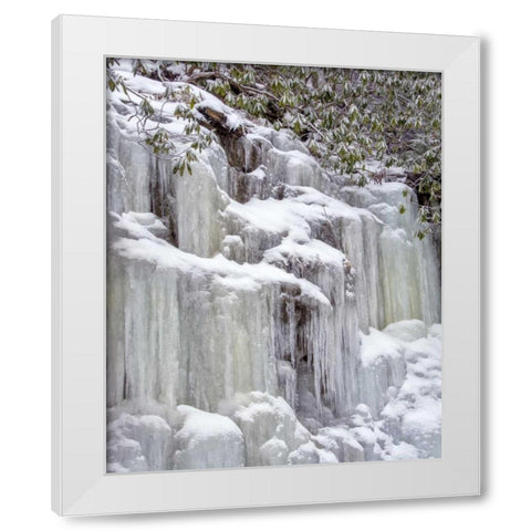 West Virginia, Blackwater Falls Frozen waterfall White Modern Wood Framed Art Print by OBrien, Jay