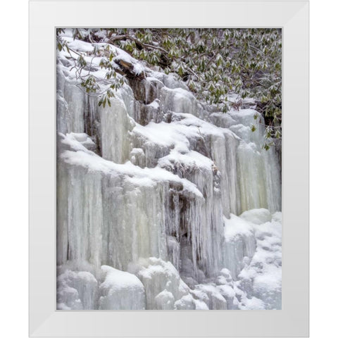 West Virginia, Blackwater Falls Frozen waterfall White Modern Wood Framed Art Print by OBrien, Jay