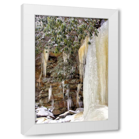 West Virginia, Blackwater Falls Frozen waterfall White Modern Wood Framed Art Print by OBrien, Jay