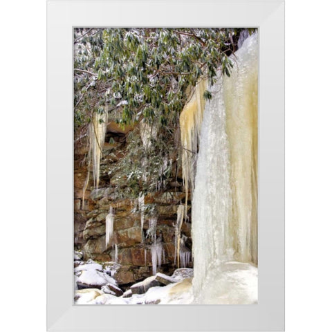 West Virginia, Blackwater Falls Frozen waterfall White Modern Wood Framed Art Print by OBrien, Jay