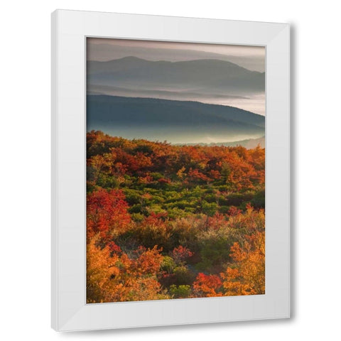 WV, Dolly Sods Wilderness Sunrise landscape White Modern Wood Framed Art Print by OBrien, Jay