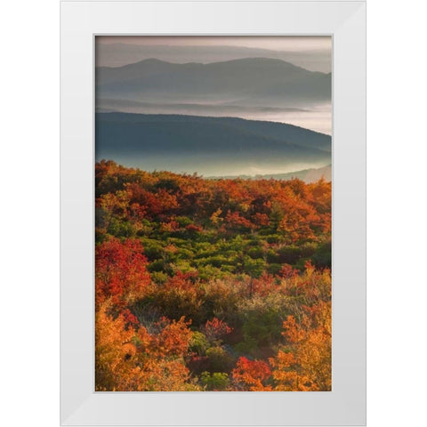 WV, Dolly Sods Wilderness Sunrise landscape White Modern Wood Framed Art Print by OBrien, Jay