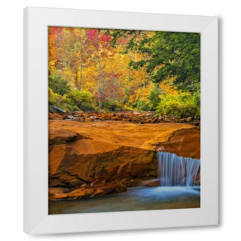 WV, Douglass Falls Waterfall over rock outcrop White Modern Wood Framed Art Print by OBrien, Jay