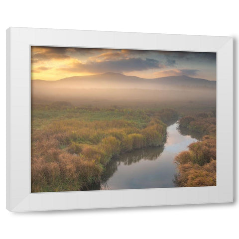 USA-West Virginia-Davis Fog over stream in valley at sunrise White Modern Wood Framed Art Print by Jaynes Gallery
