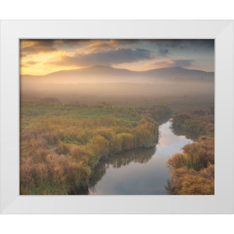 USA-West Virginia-Davis Fog over stream in valley at sunrise White Modern Wood Framed Art Print by Jaynes Gallery