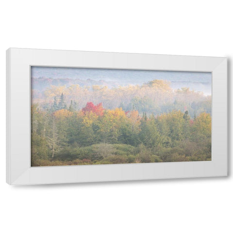USA-West Virginia-Davis Foggy forest in fall colors White Modern Wood Framed Art Print by Jaynes Gallery