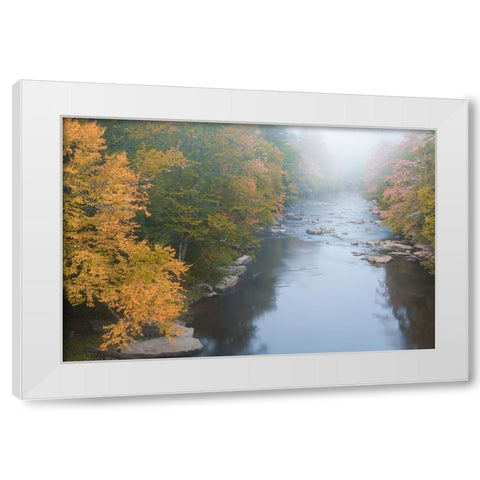 USA-West Virginia-Davis Foggy stream in Blackwater State Park White Modern Wood Framed Art Print by Jaynes Gallery