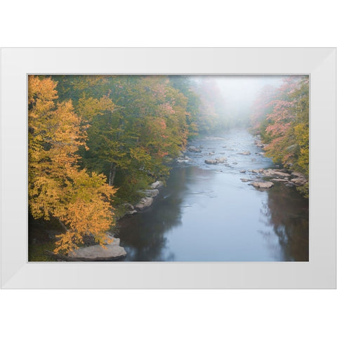USA-West Virginia-Davis Foggy stream in Blackwater State Park White Modern Wood Framed Art Print by Jaynes Gallery