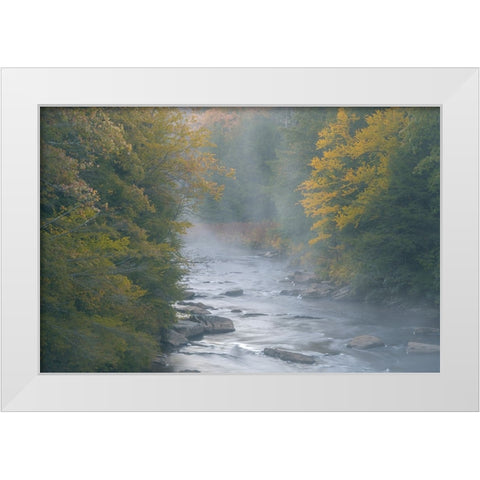 USA-West Virginia-Davis Foggy stream in Blackwater State Park White Modern Wood Framed Art Print by Jaynes Gallery