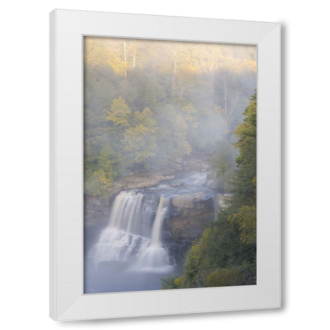 USA-West Virginia-Davis Overview of waterfall in Blackwater State Park White Modern Wood Framed Art Print by Jaynes Gallery