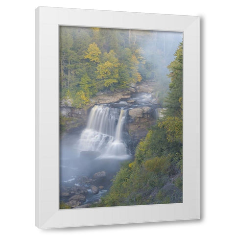 USA-West Virginia-Davis Overview of waterfall in Blackwater State Park White Modern Wood Framed Art Print by Jaynes Gallery
