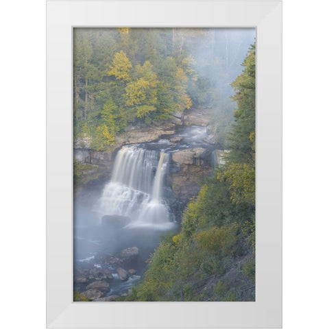 USA-West Virginia-Davis Overview of waterfall in Blackwater State Park White Modern Wood Framed Art Print by Jaynes Gallery