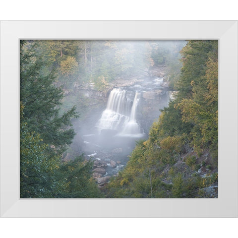 USA-West Virginia-Davis Overview of waterfall in Blackwater State Park White Modern Wood Framed Art Print by Jaynes Gallery