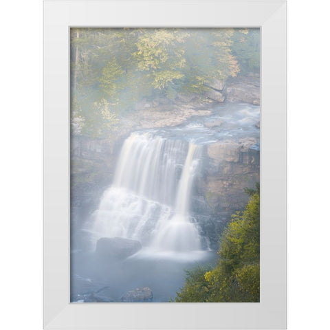 USA-West Virginia-Davis Overview of waterfall in Blackwater State Park White Modern Wood Framed Art Print by Jaynes Gallery
