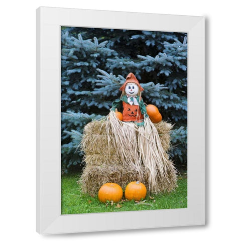 Wisconsin Autumn haystack and Halloween decor White Modern Wood Framed Art Print by Flaherty, Dennis