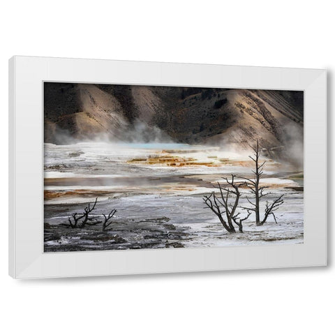Black tree trunks and colorful hot spring terrace-Canary Spring-Mammoth Hot Springs White Modern Wood Framed Art Print by Jones, Adam